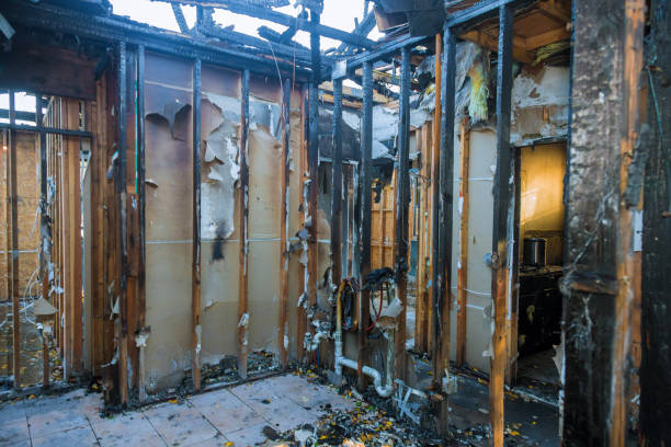 Professional Fire Damage Removal technician working in Willow Creek, CA
